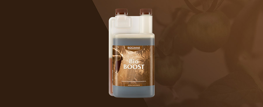 (HK) BioBOOST